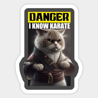 Cute kitten with Karate ( cute kitten) Sticker